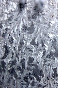 frosty the window